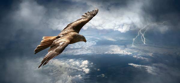 adler